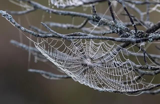 Jak uniknąć pułapek zakupowych na topie.pl?